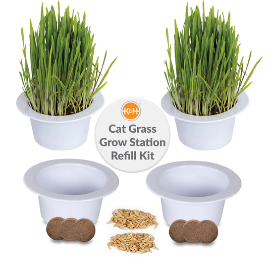 K&H Pet Products Cat Grass Grow Station Growing Cup Refills for K&H EZ Mount Products - Healthy Home Grown Grass Cat Toys for Bored Indoor Adult Cats Farmed in USA Non-GMO - Refill ONLY - 2 Pack